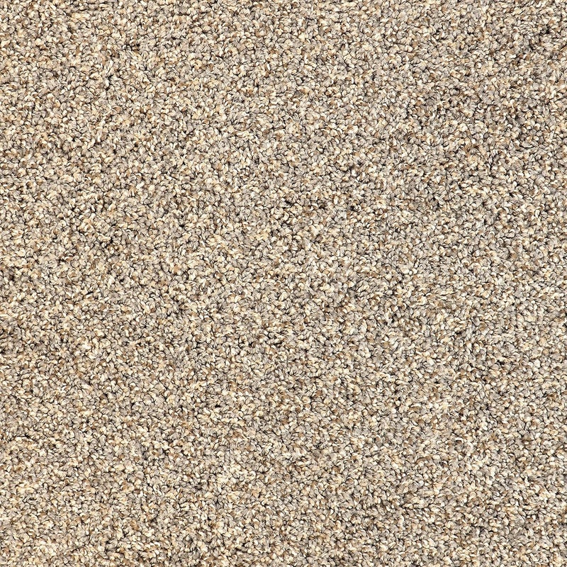 FIVE DIAMOND Eclipse Peel and Stick Carpet Tiles, Attached Cushion, Easy DIY Install, Soft Carpet, American Made, Seamless Appearance, Plush, Great for Area Rug (10 Tiles - 22.5 Square Feet, Northern Lights) - Image 1